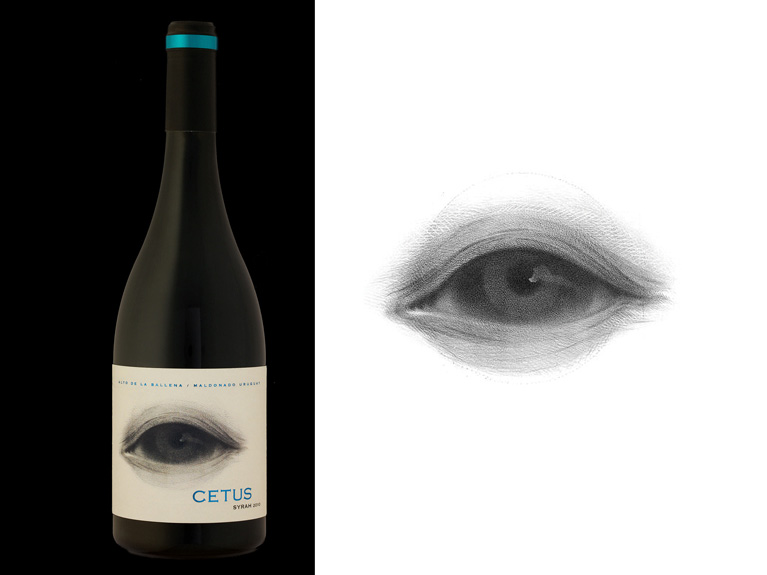 ALTO DE LA BALLENA / "CETUS" Icon Wine / Branding & Packaging Design